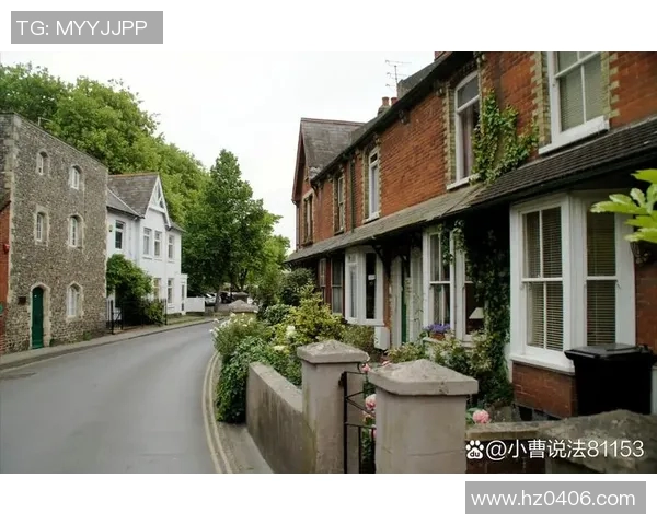 布莱克尼的魅力探索:揭示这座小镇的历史与文化之美